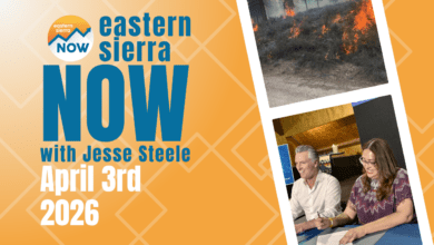 ESN News: April 3rd, 2026