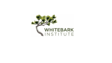 4th Annual Eastern Sierra Wildfire Resilience Month builds momentum 6 fire whitebark