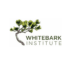 fire whitebark