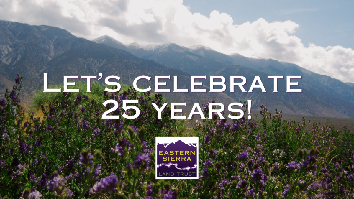 eastern sierra land trust eslt