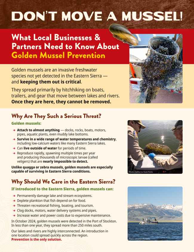 Mono County Roundup 7 mono county