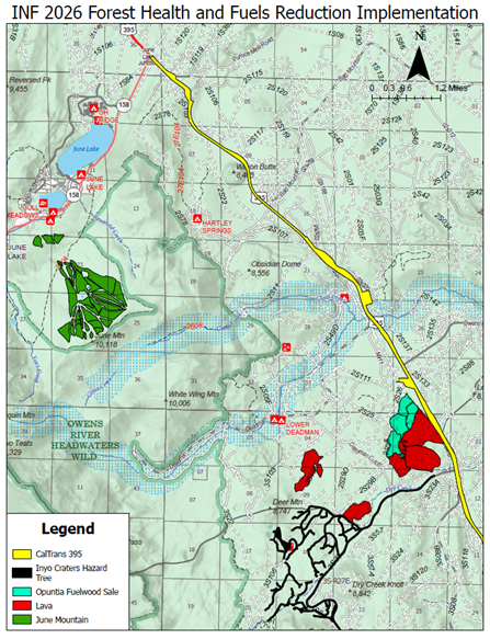 Fuels reduction and forest health thinning ramps up in May 3 fuels reduction