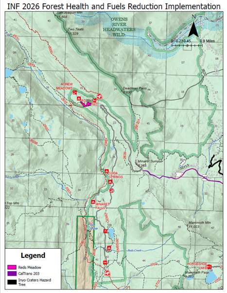 Fuels reduction and forest health thinning ramps up in May 4 fuels reduction
