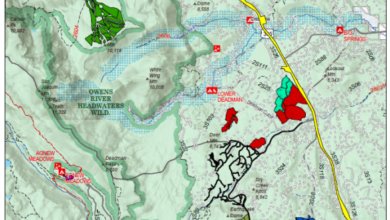 Fuels reduction and forest health thinning ramps up in May 6 fuels reduction