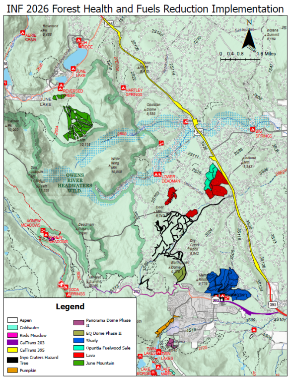 Fuels reduction and forest health thinning ramps up in May 2 fuels reduction