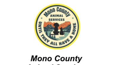 mono county animal services