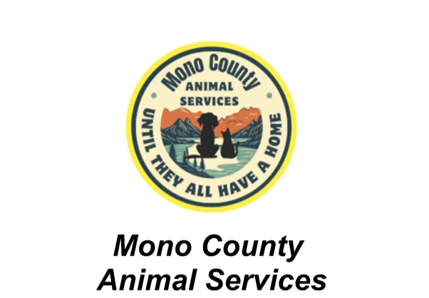 mono county animal services dog