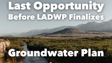 ladwp inyo water