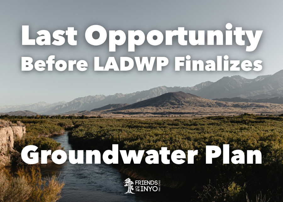 ladwp inyo water