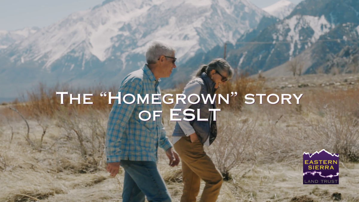 New Eastern Sierra Land Trust "Homegrown" is Out Now! 1 eastern sierra land trust