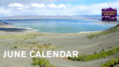 eastern sierra land trust
