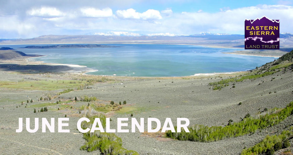 Eastern Sierra Land Trust Summer Events Are Here 1 eastern sierra land trust