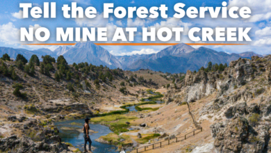 friends of the inyo hot creek