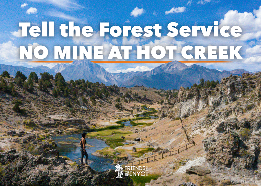 Friends of the Inyo Action Alert: Protect Hot Creek 2 friends of the inyo hot creek