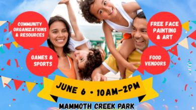 Kidapalooza Family Festival | Festival de Familias Kidapalooza 3 kidapalooza