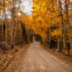 photo contest inyo county