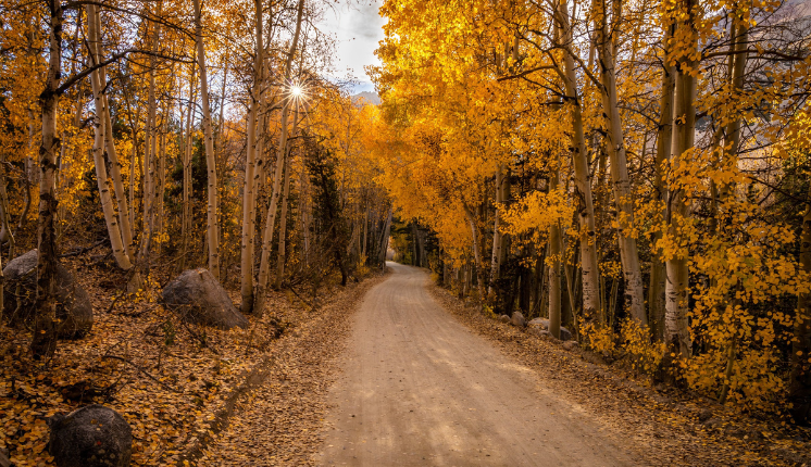 photo contest inyo county