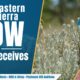 Eastern Sierra NOW News: July 17th, 2026 54 ESN News: July 17th, 2026