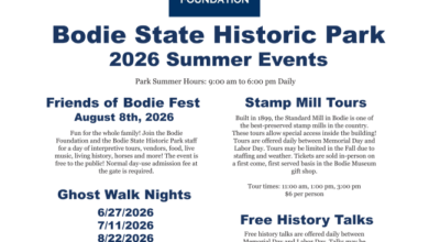 bodie