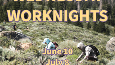 Mammoth Lakes Trail System Wednesday Worknights 19 wednesday worknights mammoth
