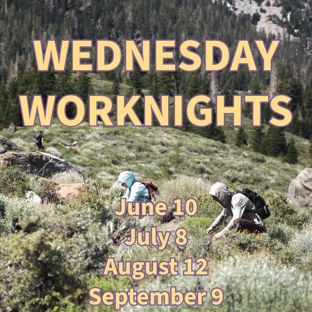 Mammoth Lakes Trail System Wednesday Worknights 1 wednesday worknights mammoth