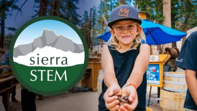 sierra stem
