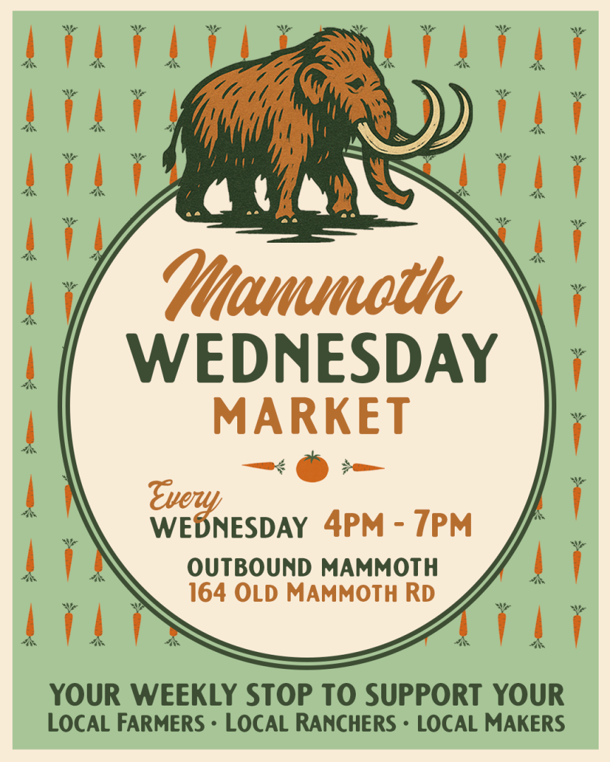 Mammoth Wednesday Market 1 mammoth wednesday market