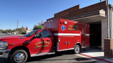 lone pine