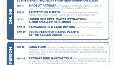 Water Connects Us: Birds with Michael Prather 7 bird water