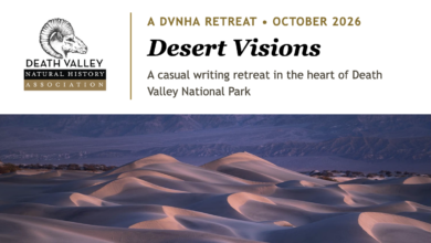 Desert Visions: A Death Valley Writing Retreat 6 death valley