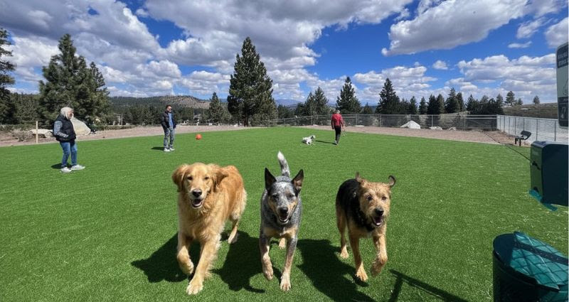 Mammoth Lakes Chamber Connection | August 24, 2026 3 mammoth lakes