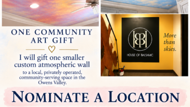 Nominate a Local Community Space for an Art Gift 9 art community