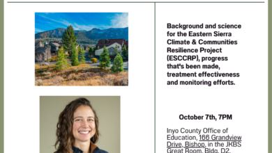 climate forest bristlecone