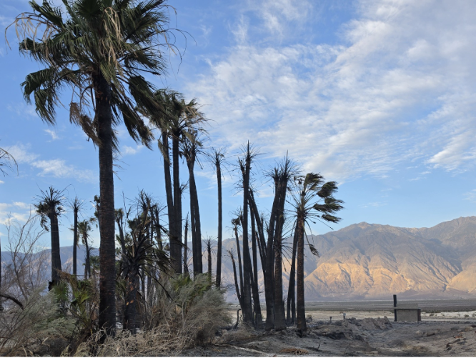 Backcountry campground in Death Valley National Park partially reopens after fire 2 death valley