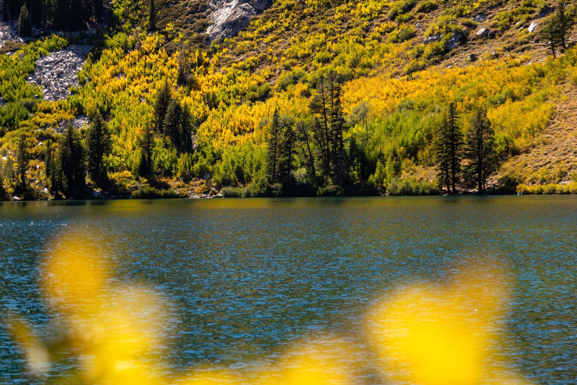 Fall Colors Update: 9/17/2026 4 fall colors