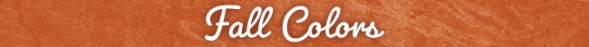 Mono County Newsletter - September 2026 4 mono county