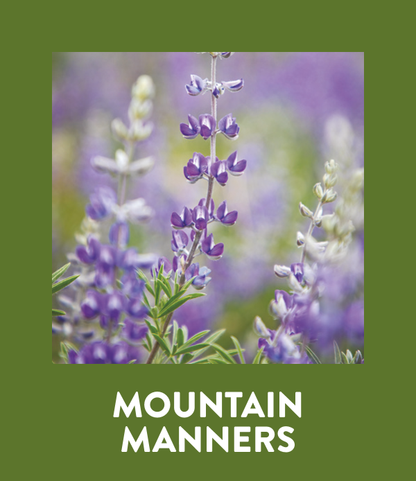 Mono County Newsletter - September 2026 11 mono county tourism