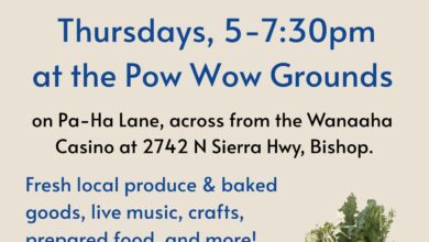bishop paiute tribe market