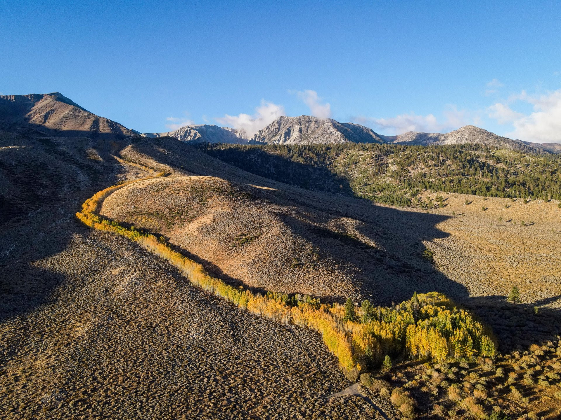 Your Guide to Fall Colors is Here! 4 fall colors