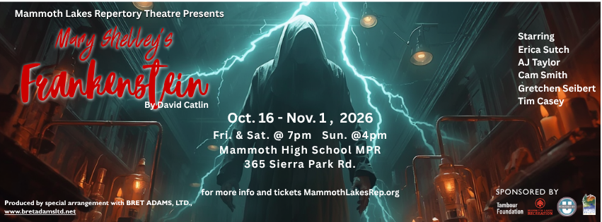 "Mary Shelley's Frankenstein" opens this Friday! 1 frankenstein