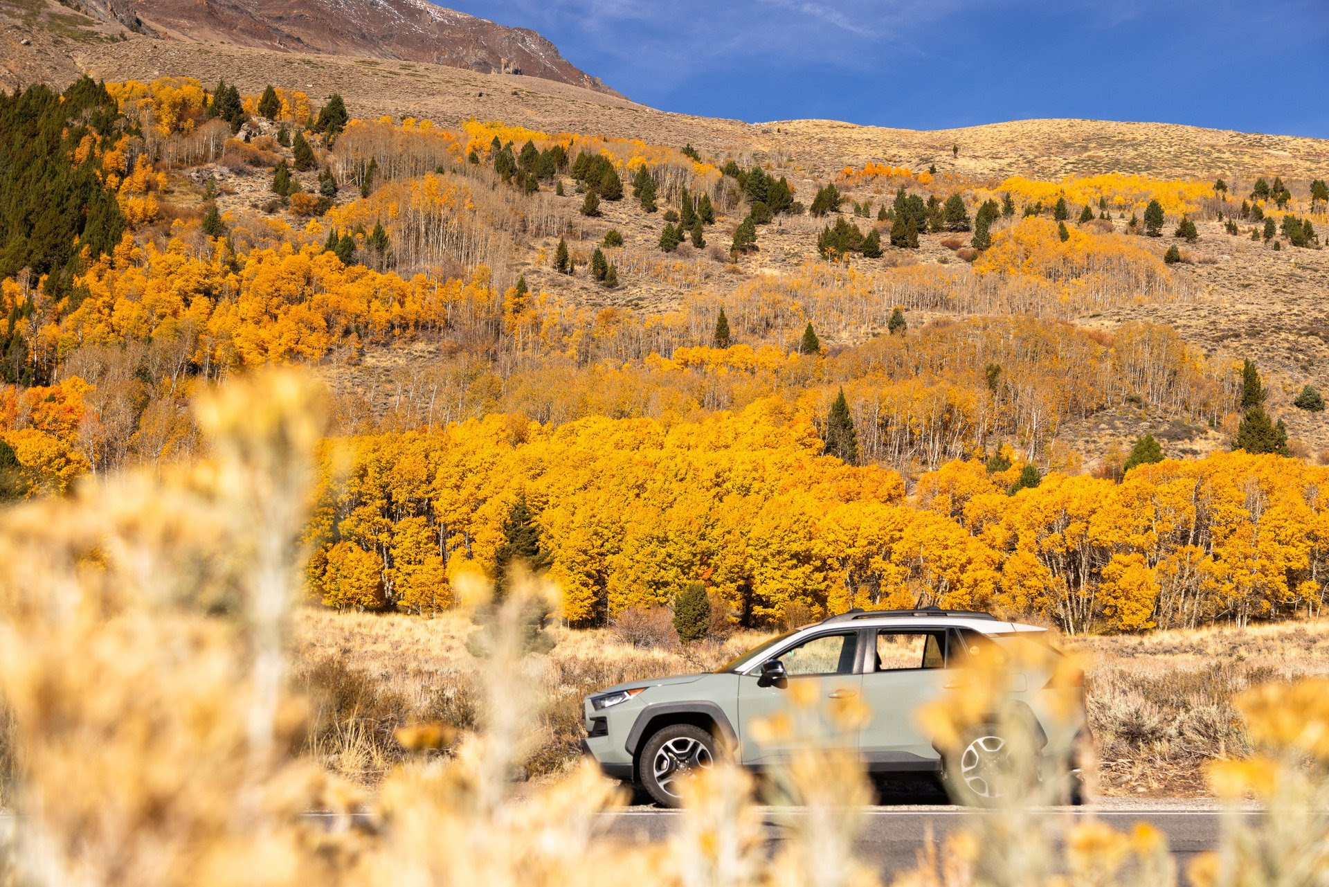 Your Weekly Fall Color Report is Here! 3 fall colors