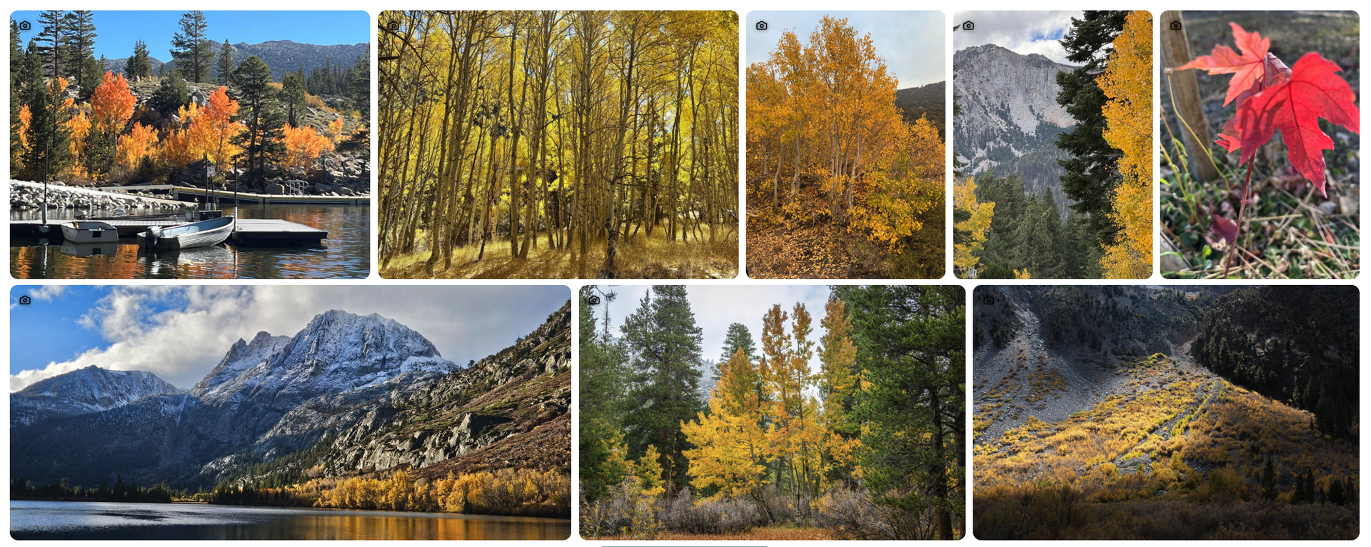 Your Weekly Fall Color Report is Here! 7 fall colors