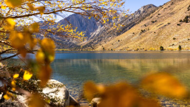 fall colors