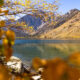 fall colors