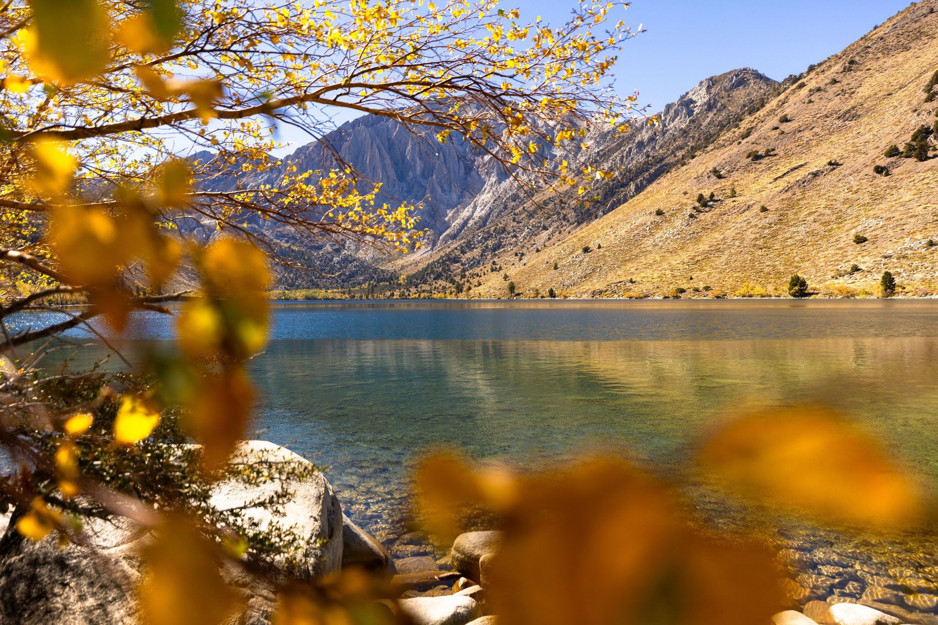 Your Guide to Fall Colors is Here! 2 fall colors