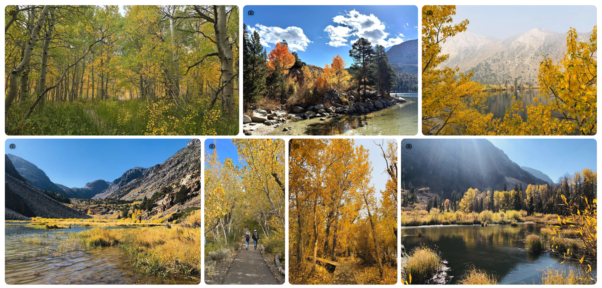 Your Guide to Fall Colors is Here! 6 fall colors