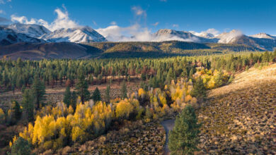 Your Weekly Fall Color Report is Here! 16 fall colors
