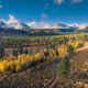 Your Weekly Fall Color Report is Here! 58 fall colors