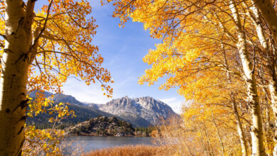 Your Weekly Fall Color Report is Here! 19 fall colors