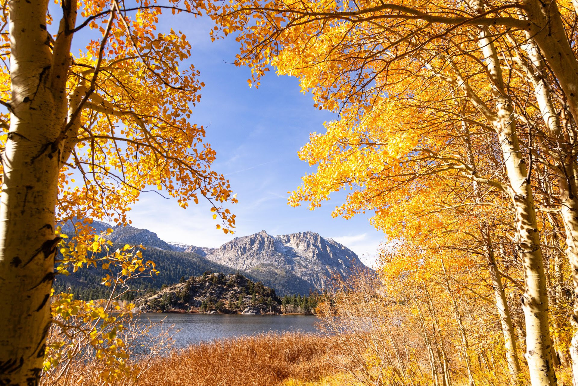 Your Weekly Fall Color Report is Here! 2 fall colors